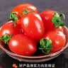 京鲜生 (热销)山东千禧贝贝小番茄净重4.5斤 水果西红柿圣女果源头直发 实拍图