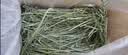 喜帅26年头茬精品烘干提摩西草500g 提草荷兰猪龙猫兔子磨牙牧草兔粮 实拍图