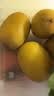 佳沛（zespri）绿奇异果优选果27-33个原箱装单果约103-135g水果 猕猴桃 实拍图