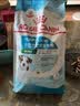 皇家狗粮 幼犬狗粮 宠物 小型犬 MIJ31 全价犬粮 2-10月 2KG 实拍图