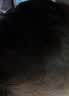 忆丝芸榛果灰棕染发膏100%自己在家染发剂天然植物盖白纯不沾男女士专用 实拍图