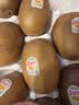 佳沛（zespri）新西兰金奇异果30-33粒原箱103-124g猕猴桃水果礼盒 实拍图