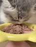 LEGENDSANDY蓝氏全价猫粮生骨肉冻干成猫幼猫猎鸟乳鸽9kg(1.5kg*6)【囤货装】 实拍图