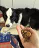 LEGENDSANDY蓝氏狗粮真鲜乳鸽中小型犬泰迪比熊生骨肉冻干鲜肉犬粮1.5kg3斤 实拍图