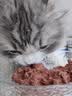 麦斯蒂主食猫罐头鸡肉金枪鱼85g*12罐 成幼猫湿粮鲜肉全价高营养 实拍图