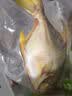 1号会员店（One's Member）甄选海南二去金鲳鱼 700g/2条装 去鳃去内脏 生鲜 鱼类 海鲜水产  实拍图