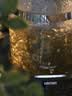 格丽思（GREENIS）煮茶壶 喷淋式煮茶器纯钛养生壶烧水壶泡茶壶一体机全自动保温壶蒸茶壶新款高档大气礼盒 深空灰礼盒装（纯钛壶底-单直筒茶漏） 实拍图