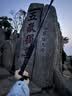 神火（SupFire）户外防身登山杖铝合金型老人超轻便防滑拐棍徒步健走爬山装备手杖 实拍图