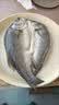 仙泉湖三去白蕉海鲈鱼400g/条净膛冷冻刺少肉厚特产海鲜水产生鲜食材 实拍图