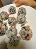 美好时光拌饭海苔碎8克*5袋 儿童拌饭寿司包饭紫菜 休闲零食下饭营养调味 实拍图