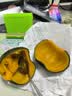 京鲜生内蒙沙漠贝贝南瓜 净5斤(粉糯瓜) 中果300g+辅食 源头直发 实拍图