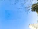 serfeey汽车玻璃修复液前挡风裂纹痕修补鱼缸镜子刮划痕裂缝胶水工具 实拍图