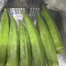 【水果菜】水果秋葵约300g 实拍图
