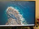 泰坦军团24.5英寸双侧入光屏2K 275Hz DyDs0.5ms HDR500耳机挂架 硬件低蓝光 可升降电竞显示器KG257S PLUS 实拍图