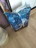 babycare皇室狮子王国弱酸纸尿裤中号M50片(6-11kg)婴儿尿不湿亲肤透气 实拍图