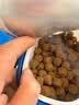 麦德氏IN猫咪磷虾鱼油卵磷脂600g宠物猫用蛋黄磷虾油鱼油美毛亮毛防掉毛 实拍图
