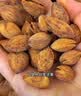 三只松鼠金选巴旦木仁原味500g/罐 休闲零食坚果炒货果仁扁桃仁团购送礼 实拍图