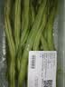 无筋豆约300g(豆王) 实拍图