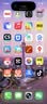 Apple/苹果iPhone 17 Pro Max 256GB 银色 移动联通电信5G 双卡双待手机 送礼好物 实拍图
