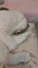 欧恩焙加拿大自营猫粮进口幼猫成猫全价无谷烘焙鱼肉味5磅【2.27kg】 实拍图