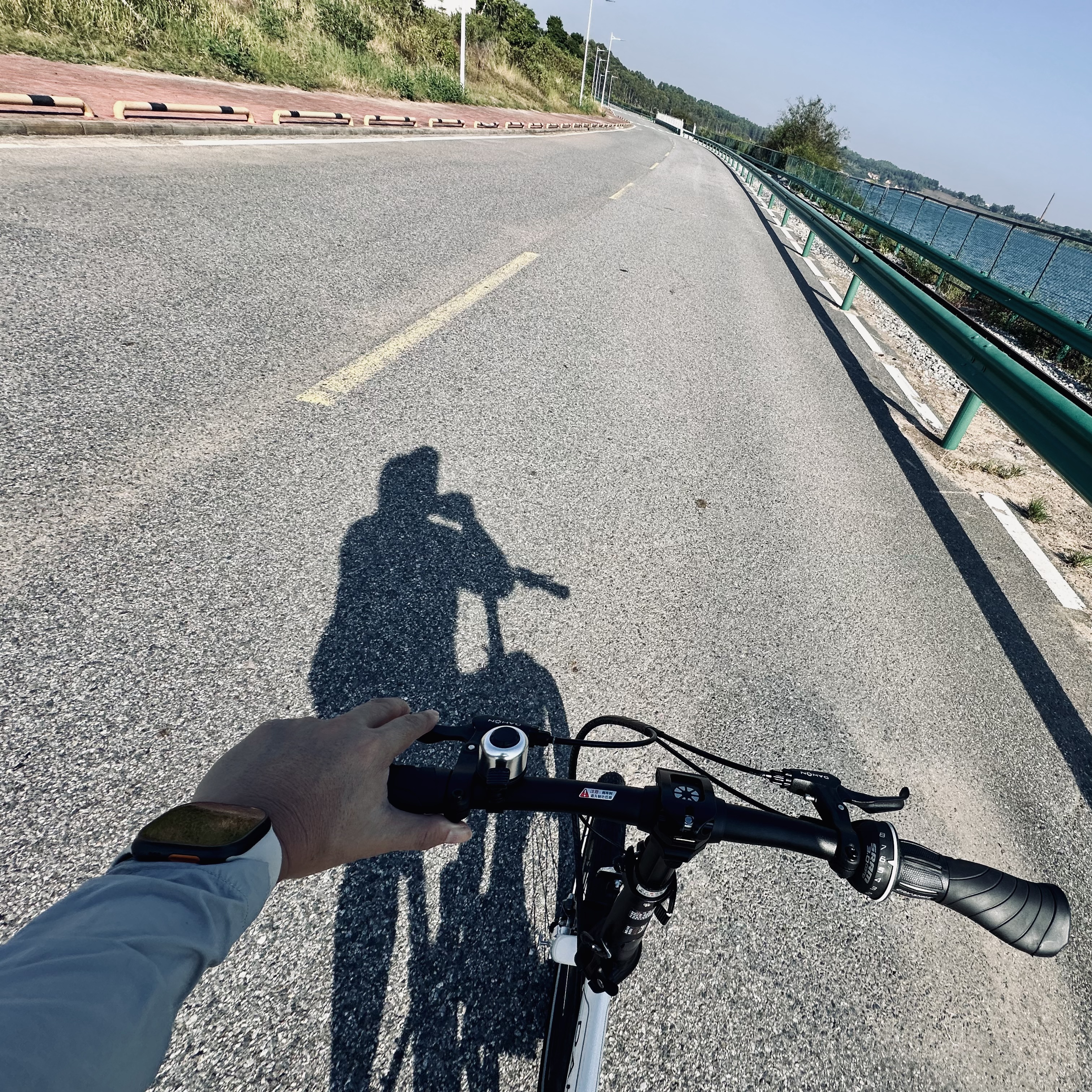 大行（DAHON）P8折叠自行车20英寸8级变速单车KBC083 白色经典版--京仓 实拍图