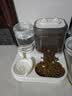疯狂的主人猫粮自动喂食器饮水一体猫碗狗碗猫食盆猫咪猫盆宠物用品喝水双碗 实拍图
