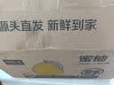 京鲜生 梅州大埔蜜柚白心柚子2粒 净重4-5斤 生鲜水果 源头直发包邮 实拍图