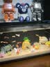 米家小米智能鱼缸 一体整机免装语音遥控半年免换水APP定时喂食水族箱 米家智能鱼缸+物理滤芯 实拍图