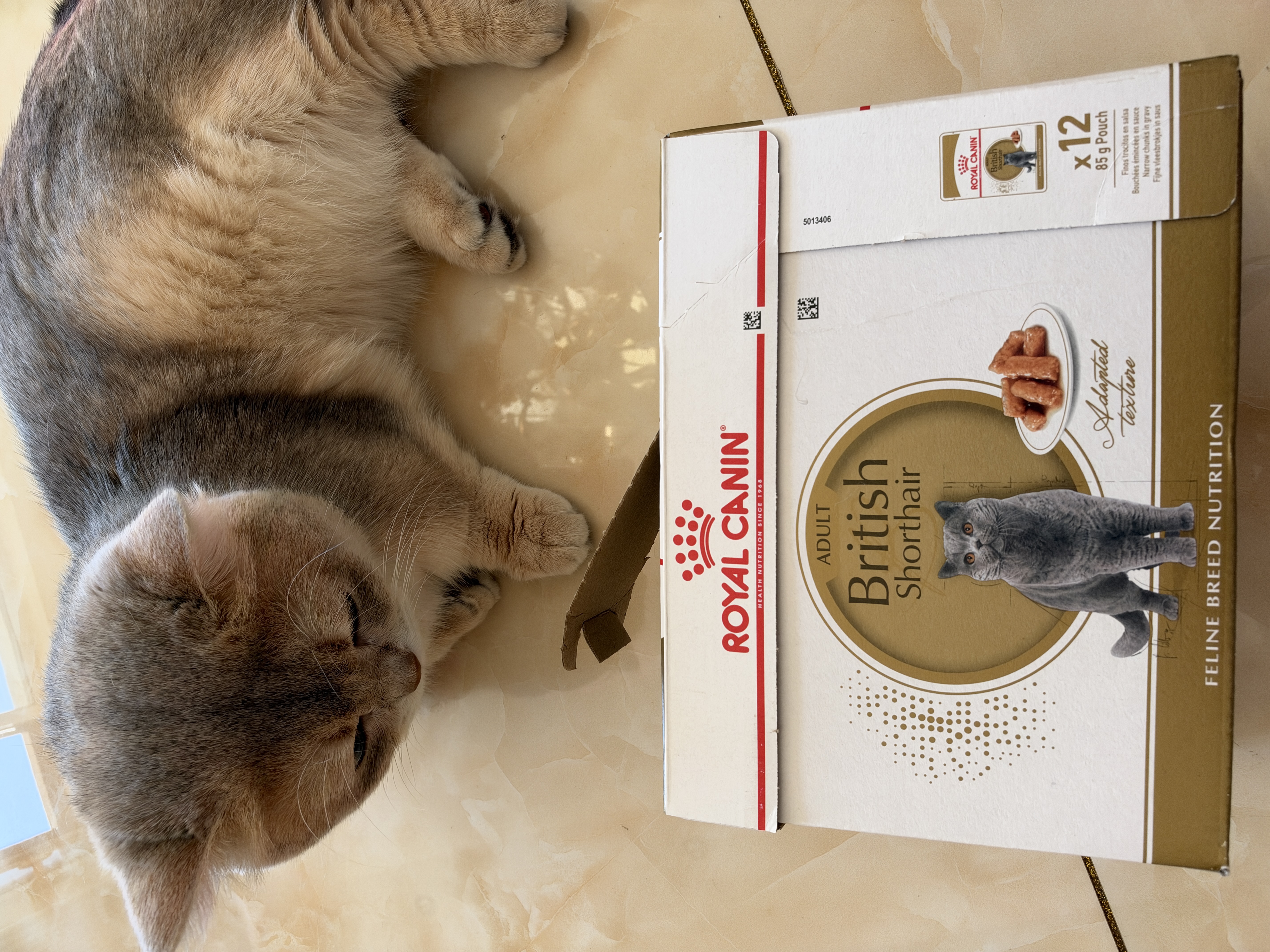 皇家猫粮 英短成猫湿粮 软包猫罐头BSP 12月以上 浓汤肉块 85G*12进口 实拍图