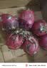 京鲜生 广西红心火龙果 净重8斤装 大果 单果400g+ 新鲜水果礼盒 实拍图