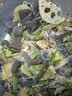 云山半 魔芋块500g*2袋 0脂肪魔芋片粉丝素毛肚代餐饱腹关东煮火锅食材 实拍图