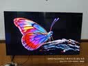 TCL电视 65T5M Plus 65英寸 QD-Mini LED控光 360Hz超高刷 QLED量子点 安桥音响 WiFi6 T5M Pro同款 实拍图