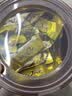 德芙丝滑牛奶巧克力 分享装243g 休闲儿童零食 喜糖 伴手礼 实拍图