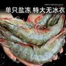 北海湾 虾 青岛海鲜大虾国产鲜活冷冻基围虾虾类水产生鲜白虾青虾海对虾 单冻大虾 3斤(净重)  15-17cm【单只冻 新货】 实拍图