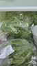 槿馐新鲜沙拉蔬菜4斤 混合6种生菜组合 轻食沙拉食材代餐菜包 6种沙拉蔬菜4斤【无酱】 实拍图