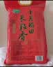 十月稻田 长粒香大米 20斤（东北大米 香米 10kg/公斤） 实拍图