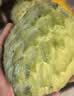 京鲜生云南牛奶释迦果番荔枝净重2粒装 单果250g+生鲜水果源头直发 实拍图