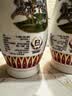 汾酒乳玻汾 清香型白酒 48度 475ml 单瓶装  纯粮酒 实拍图