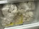 湾仔码头大白菜猪肉水饺1320g66只速食面点饺子夜宵儿童早餐速冻半成品 实拍图