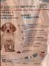 皇家狗粮 幼犬狗粮幼犬奶糕宠物中型犬MEJ32 全价犬粮 2-12月 4KG 实拍图