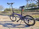 大行（DAHON）P8折叠自行车20英寸8级变速单车KBC083 渐变蓝经典版--京仓 实拍图