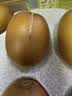 佳沛（zespri）新西兰金奇异果10粒巨大果146-175g猕猴桃水果礼盒 实拍图