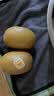 佳沛（zespri）新西兰金奇异果12粒特大果124-146g猕猴桃水果礼盒 实拍图