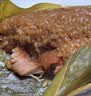 禾滋齋粽子嘉兴肉粽子嘉兴粽子新鲜白米粽蛋黄肉粽猪肉粽端午节嘉兴特产 150克鲜肉粽x10只 实拍图