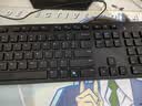戴尔（DELL）KB216键盘有线商务办公键盘笔记本电脑台式机外接配件全尺寸静音键盘USB即插即用防泼溅（黑色） 实拍图