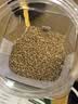 初谷低GI钢切燕麦600g免淘洗原味营养裸粒代餐全谷物高纤燕麦袋装早餐 实拍图