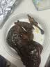 妙滋味 酱板鸭湖南常德地方特产风干板鸭肉零食卤味肉干下酒菜350g 微辣 实拍图