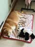 普安特宠物狗狗驱虫药犬体内外同驱跳蚤犬虱非泼罗尼爱滴克+内驱 实拍图