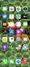 Apple/苹果iPhone 17 Pro Max 256GB 星宇橙色 移动联通电信5G双卡双待手机 送礼好物 实拍图