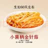 吉香居爆香金针菇罐头红油下饭菜开味零食速食180g即食拌饭拌面 实拍图